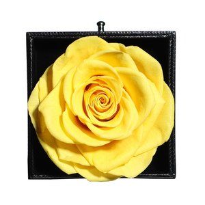 YELLOW Preserved Rose - Perfect for Gifts - Will Last From 3-5 Years